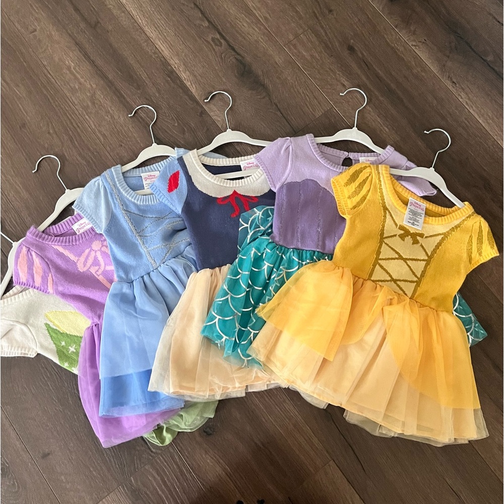 Princess Dresses